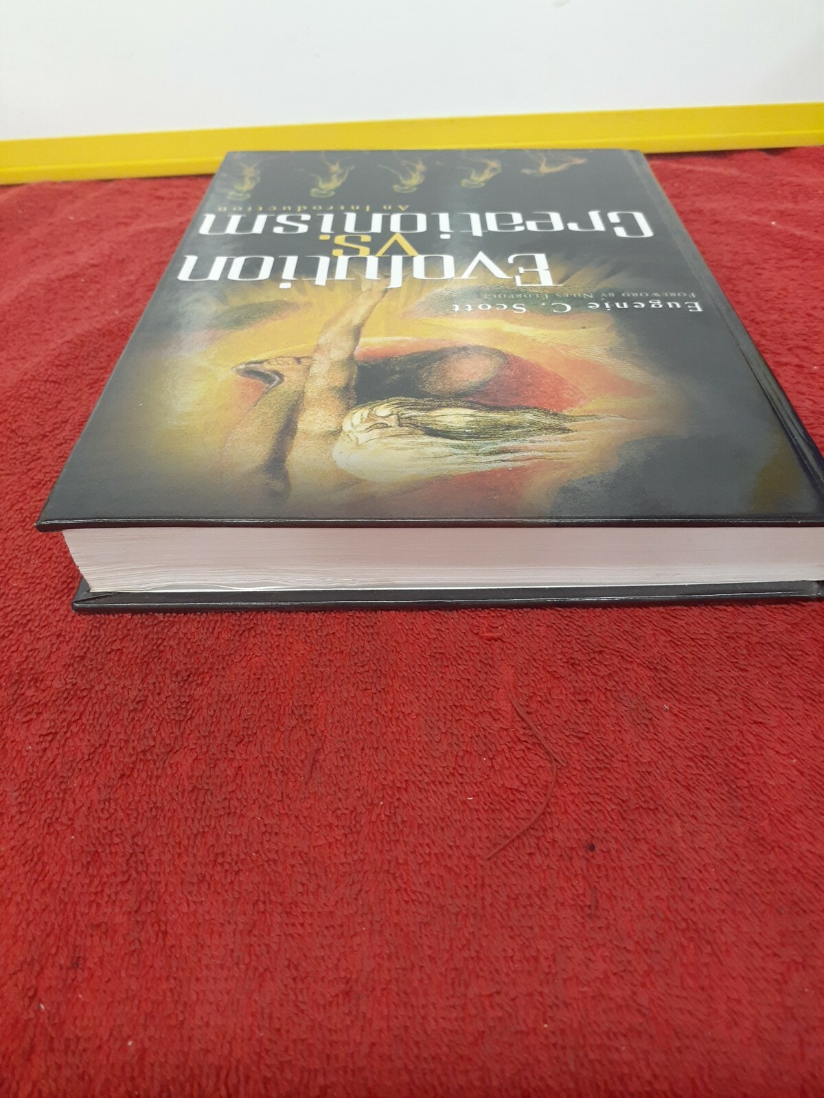 Evolution vs. Creationism : An Introduction Hardcover Eugenie C.