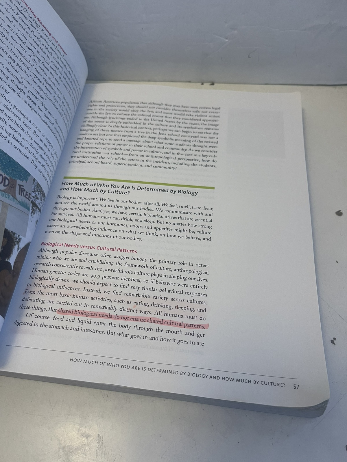Cultural Anthropology : A Toolkit for a Global Age by Kenneth J. Guest (2013,…
