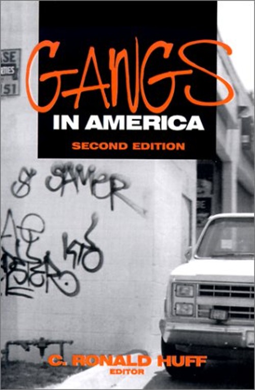 Gangs in America Paperback