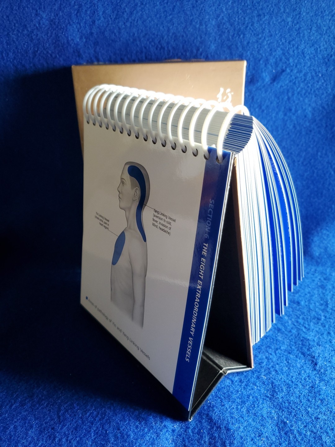 The Channels of Acupuncture Cards Giovanni Maciocia 2006 Elsevier Set