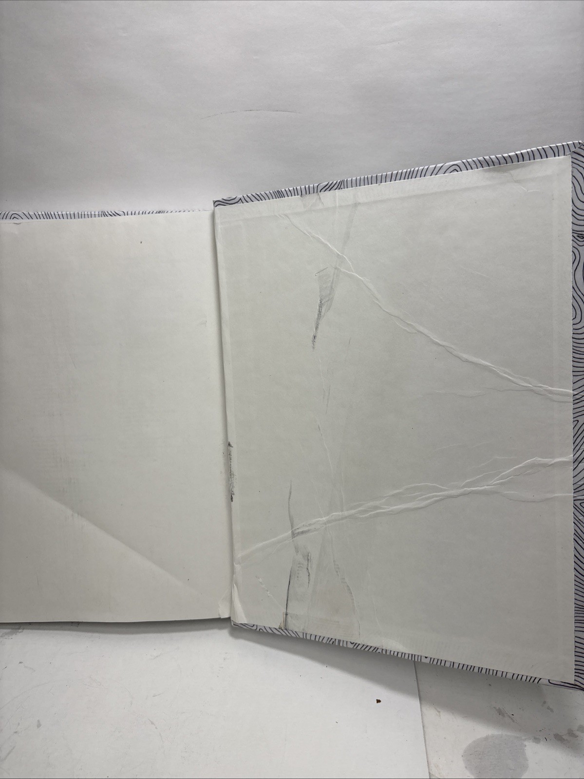 Genetics: From Genes to Genomes 6th Edition.. Pieces Of Pages Torn Out..565-575