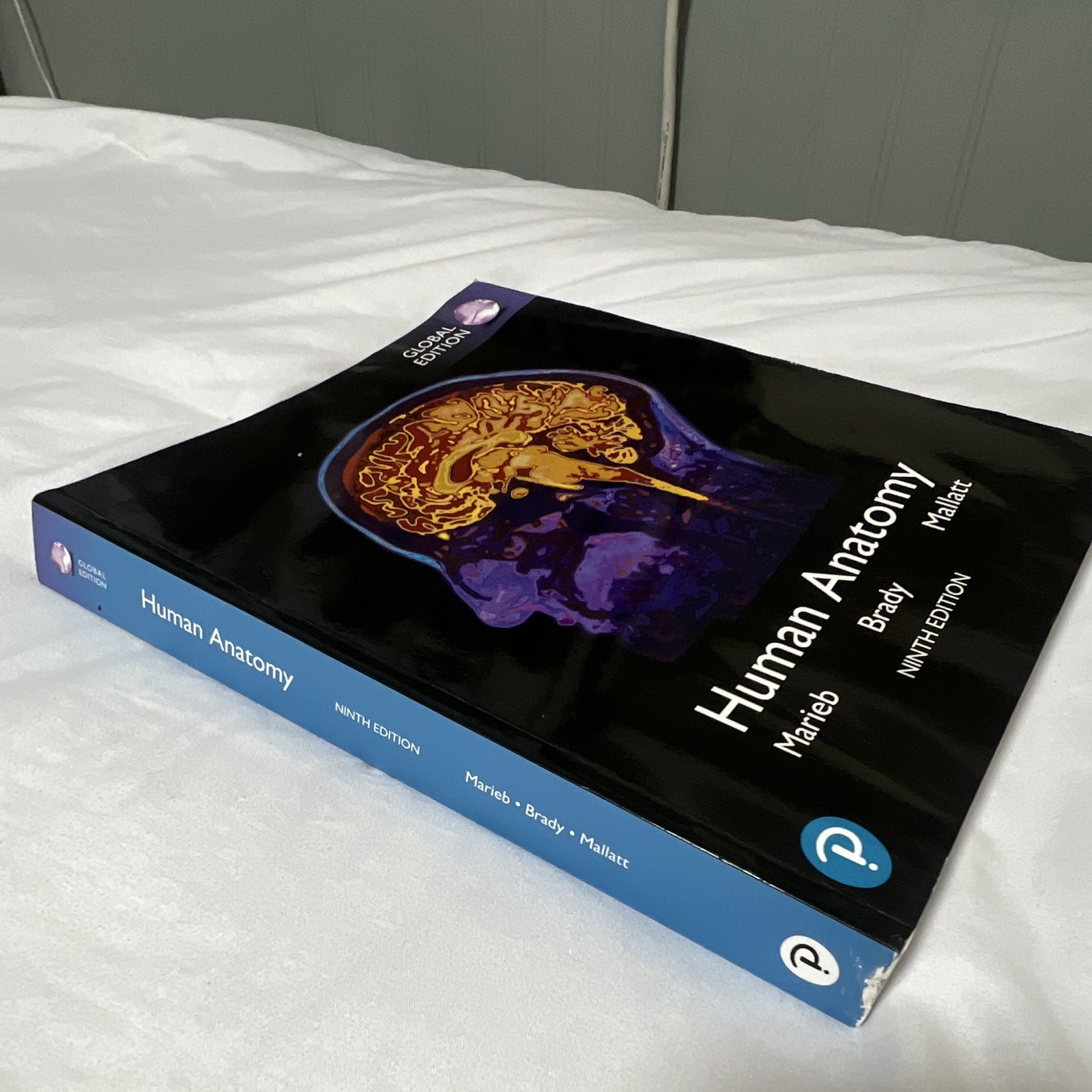 Pearson Human Anatomy Global Edition 9th Ed Paperback Marieb Brady Mallatt 2019