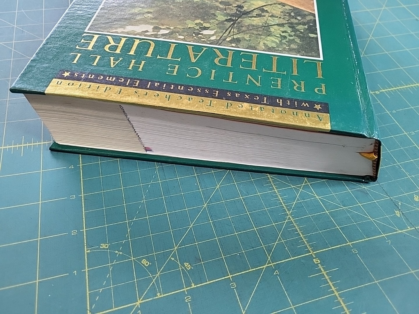 Prentice Hall Literature Gold Annotated Teacher Edition Advanced Copy 1989
