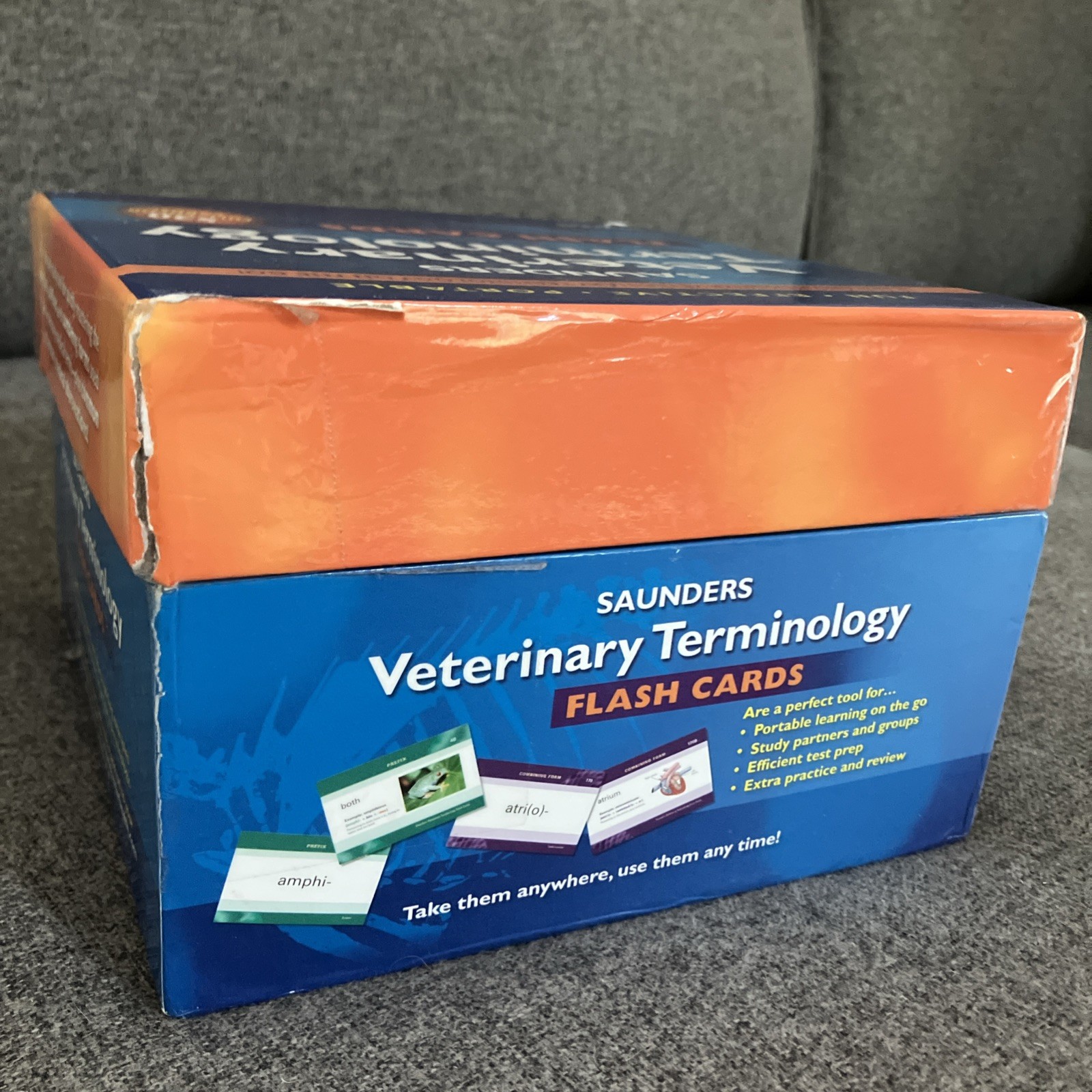 Saunders Veterinary Terminology Flash Cards 530 Full Color Cards Complete Set