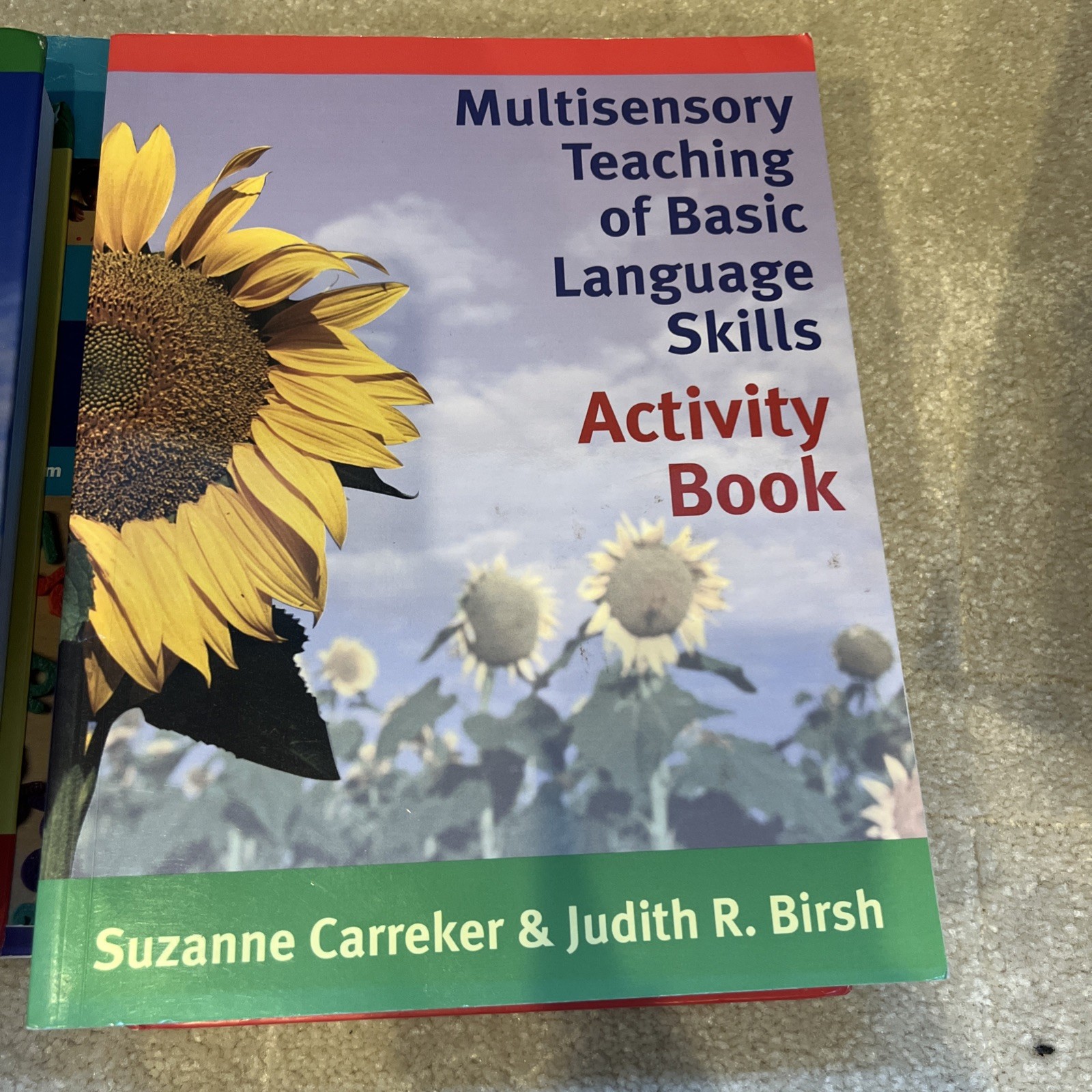 Multisensory Teaching of Basic Language Skills Activity book