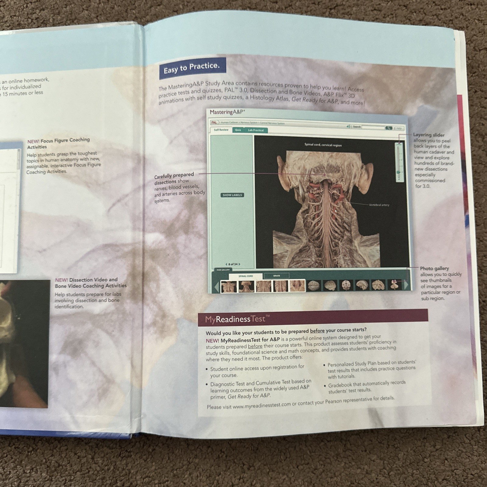 Pearson Human Anatomy 7th Edition Hardcover 2012 Marieb Wilhelm Mallatt