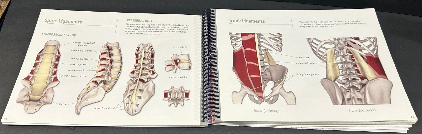 The Key Muscles of Hatha Yoga (Scientific Keys) By Ray Long Spiral Bound GOOD