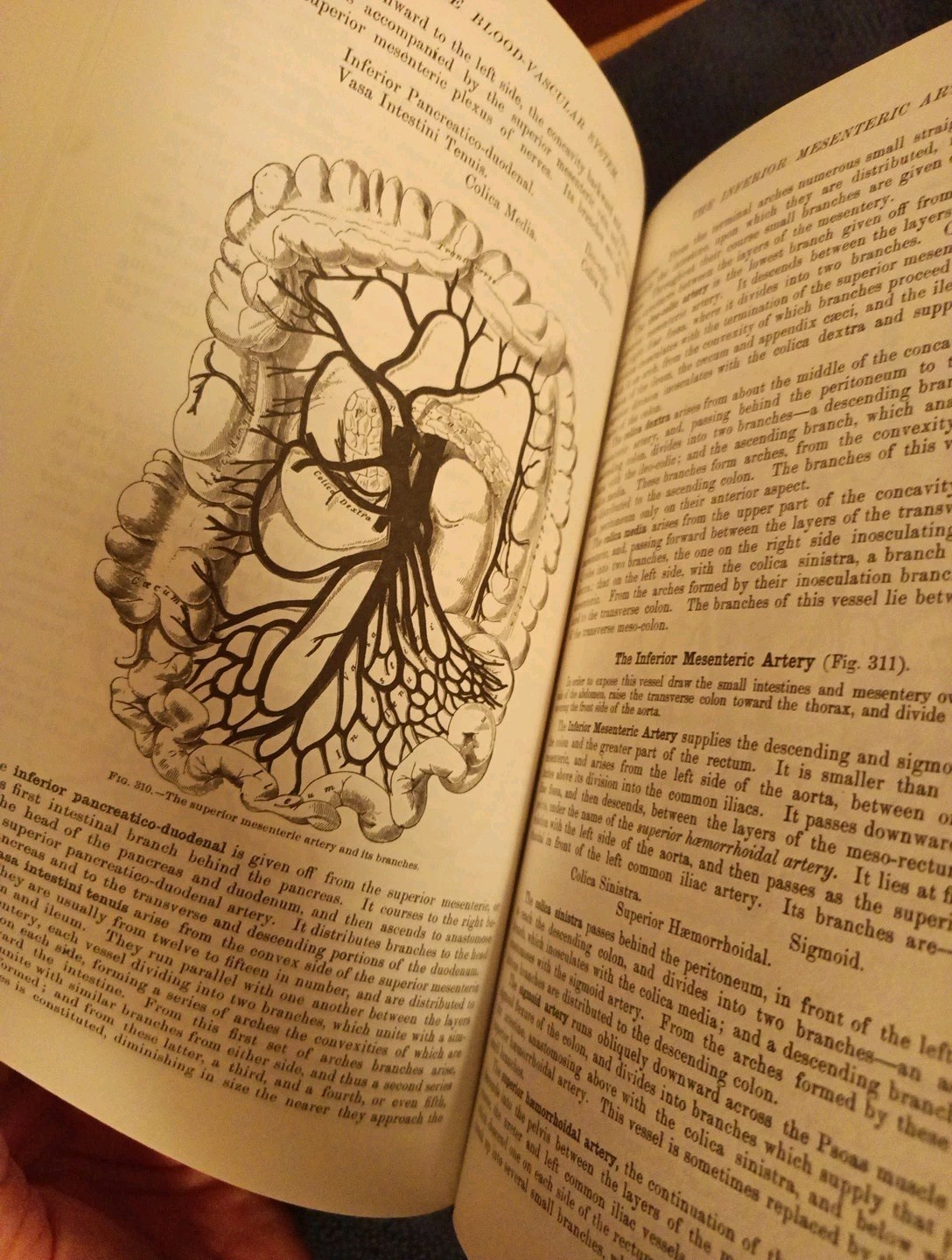 Gray’s Anatomy : The Unabridged Running Press Edition of the American Classic…