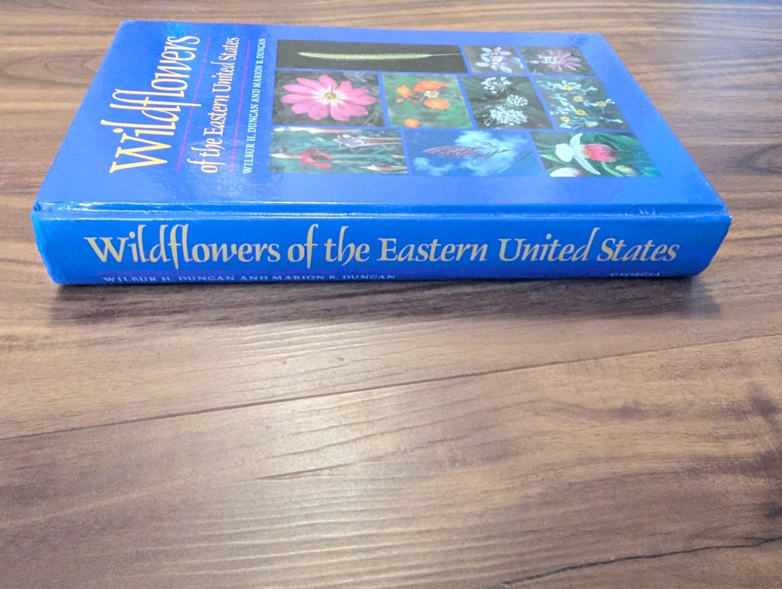 Wildflowers of the Eastern United States by Wilbur H Duncan Hardcover