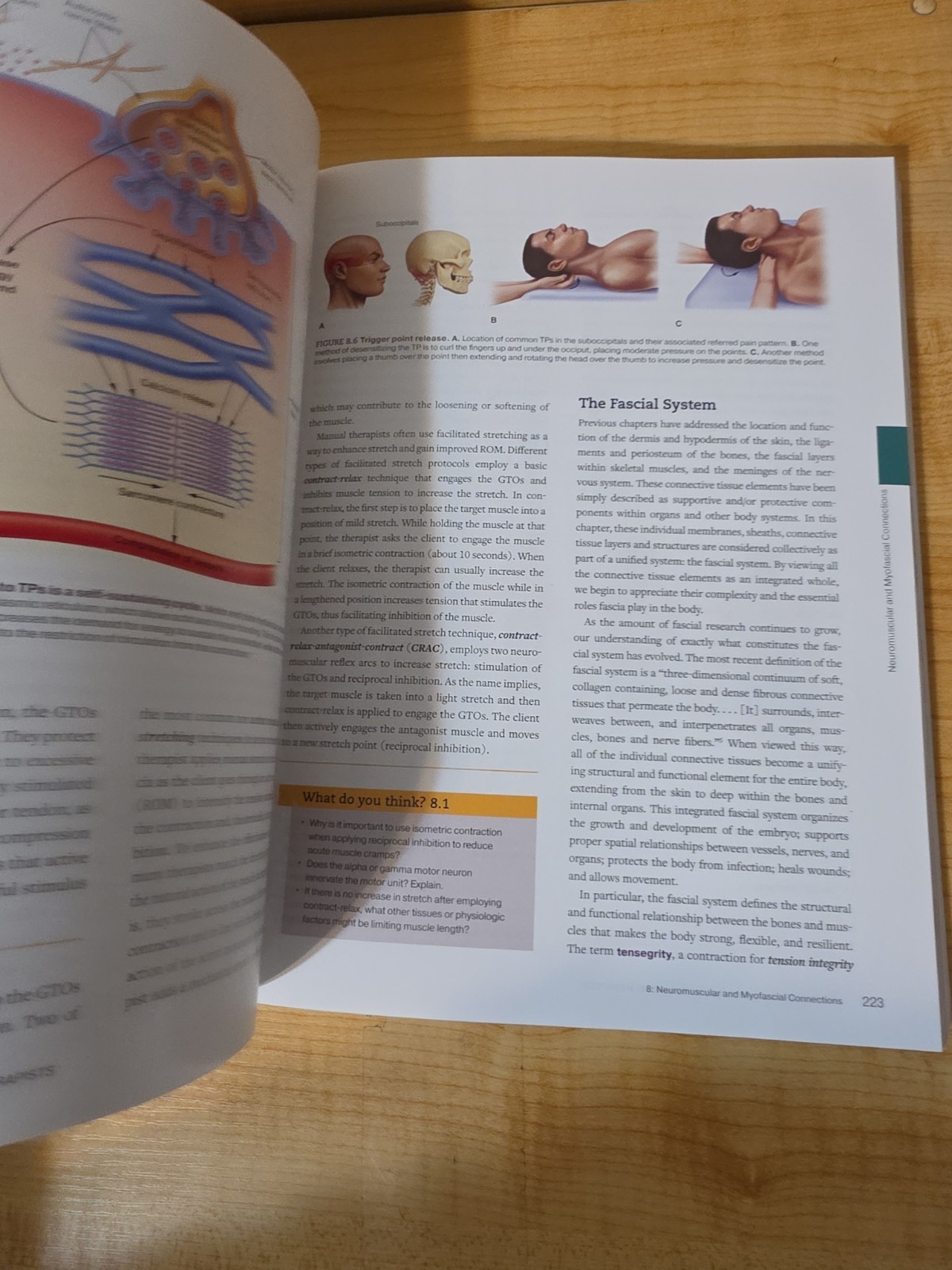 Applied Anatomy & Physiology for Manual Therapists 2nd Edition Archer Nelson