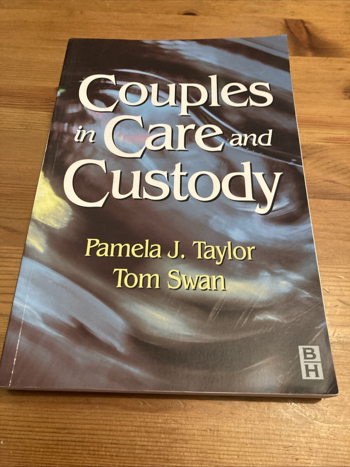 Couples in Care and Custody by Pamela J. Taylor, Tom Swan (Paperback, 1998)