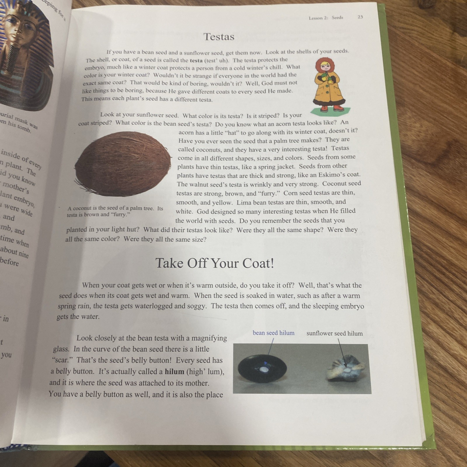 Apologia Exploring Creation with Botany Young Explorers Series Hardcover