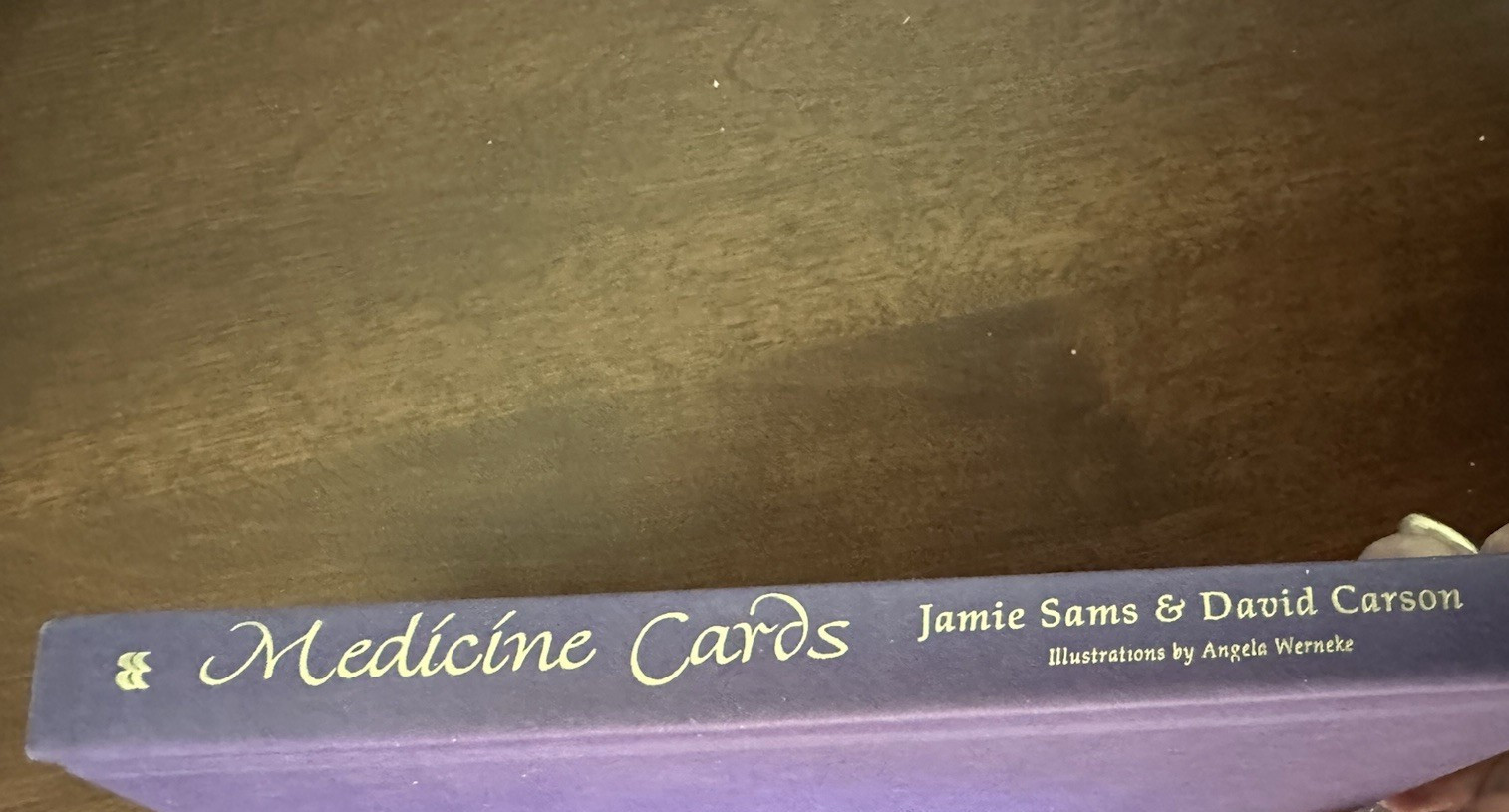 Medicine Cards Book & Card Deck SET by David Carson & Jamie Sams Revised 1999