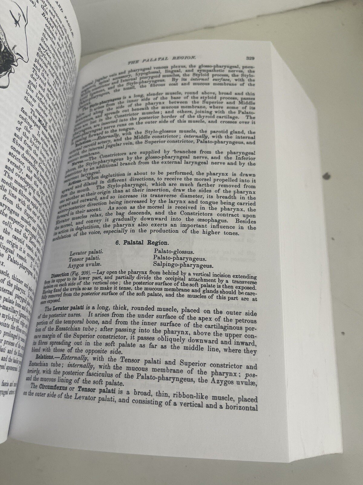 Gray’s Anatomy : The Unabridged Running Press Edition of the American Classic by