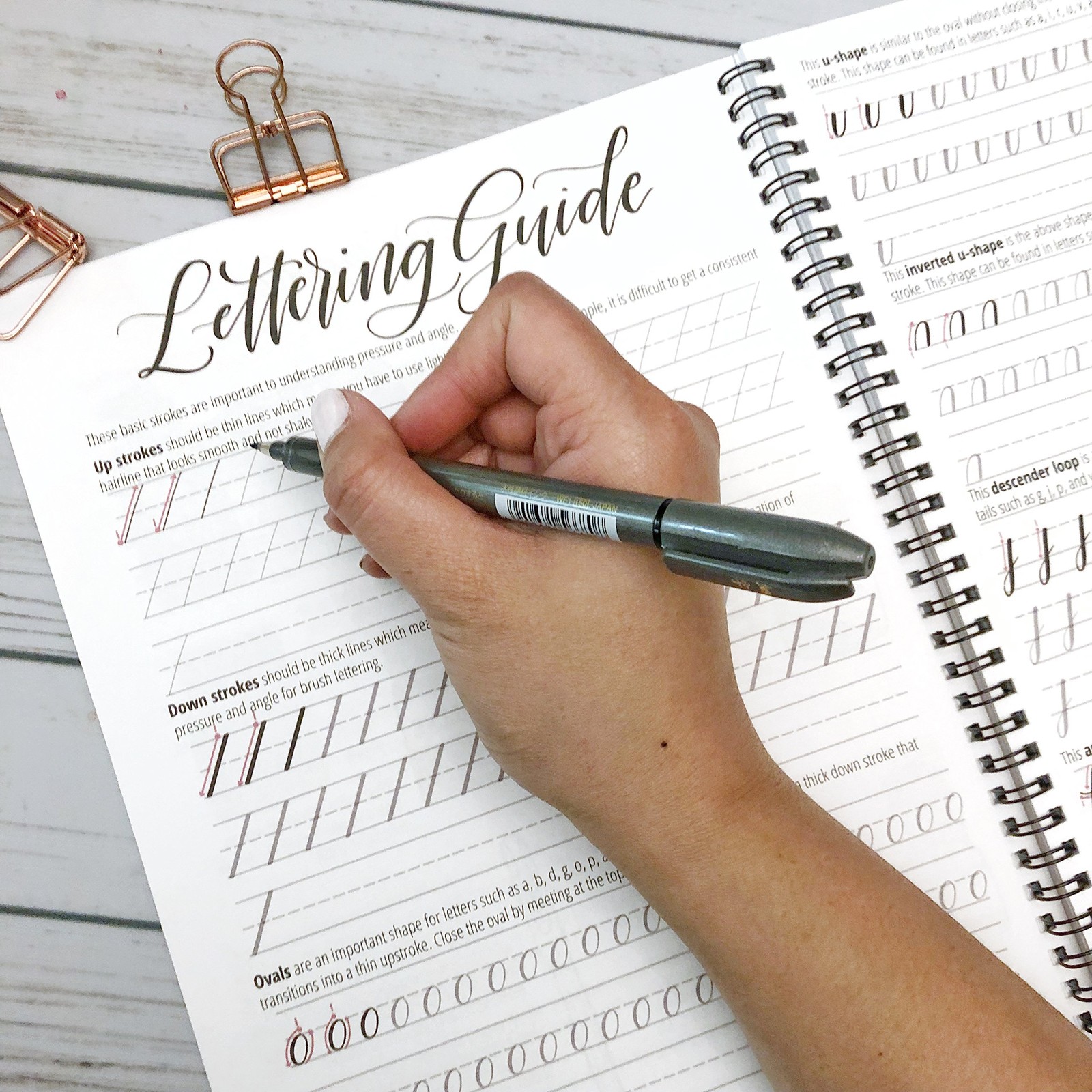 Modern Calligraphy A Beginners Guide to Pointed Pen and Brush Pen Lettering