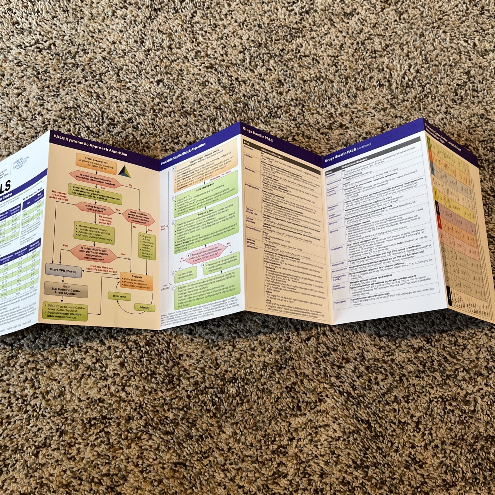 Pediatric Advanced Life Support Reference Card by AHA (2020, ph)