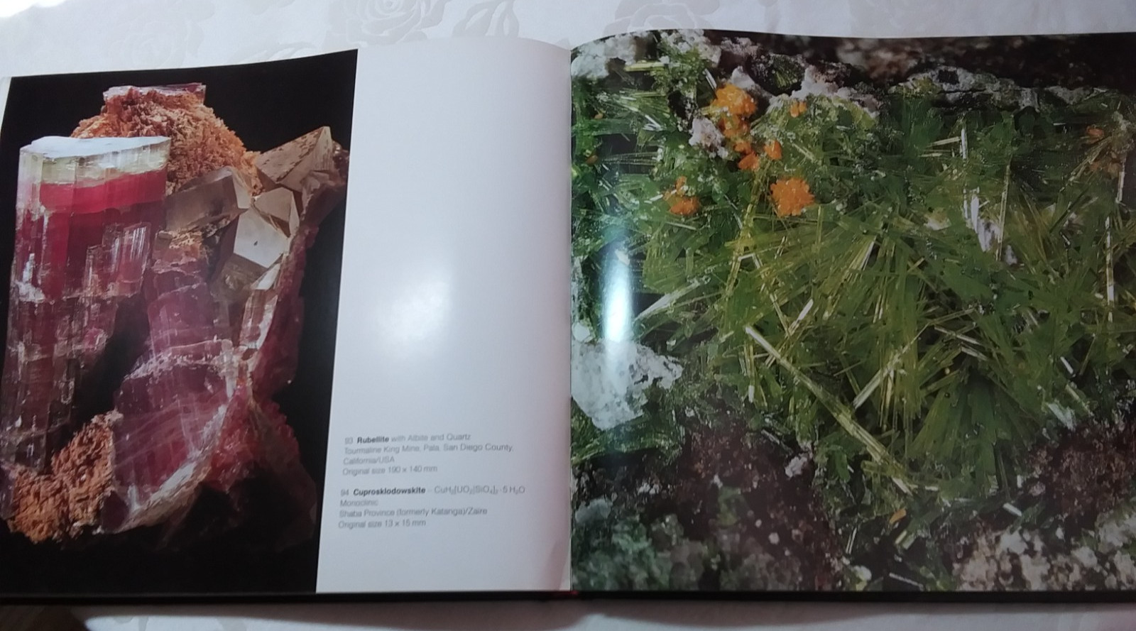 Rock identification book The Magic of Minerals 110 photos color large 196 pgs hb