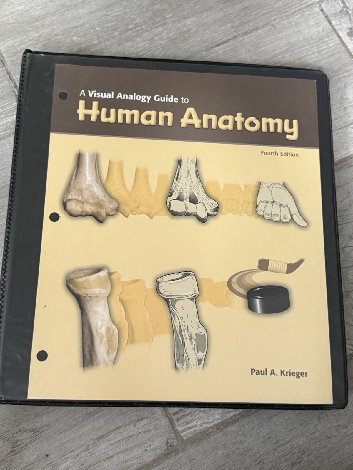 📚 Visual Analogy Guide to Human Anatomy Fourth Edition Paul A. Krieger