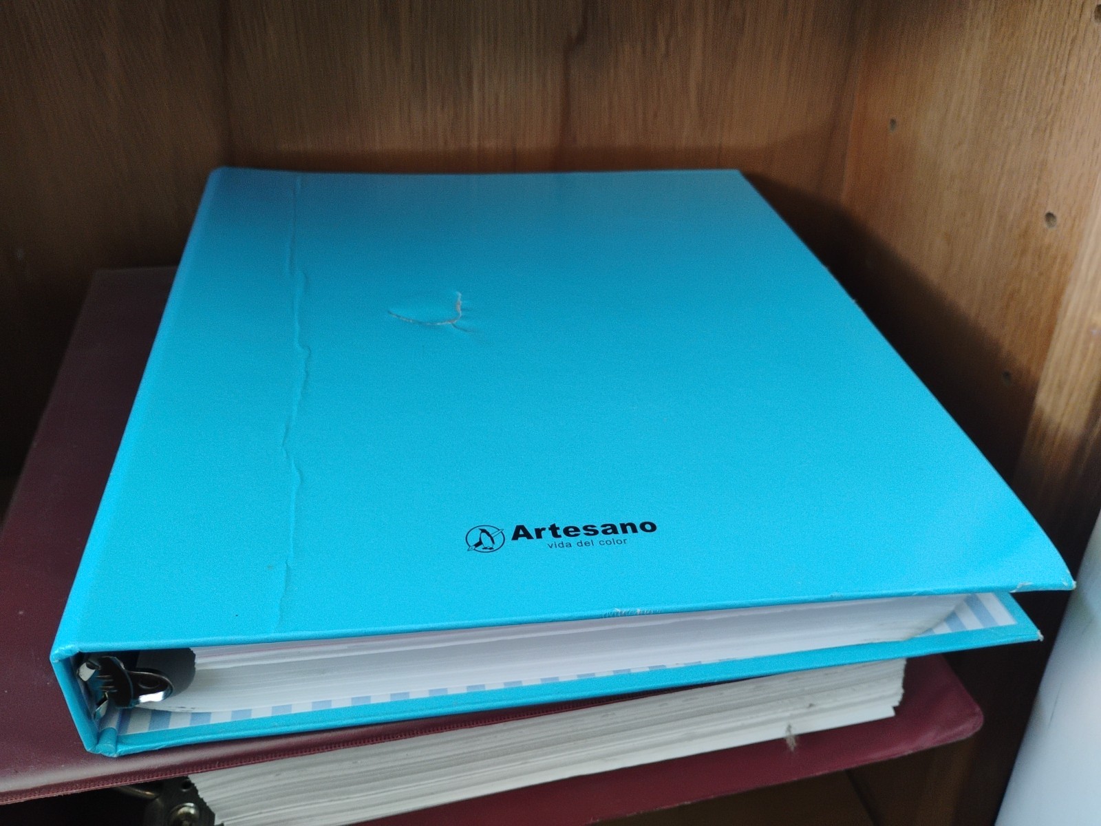 Calculus by Ron Larson and Bruce Edwards (11e, Loose Leaf In Binder)