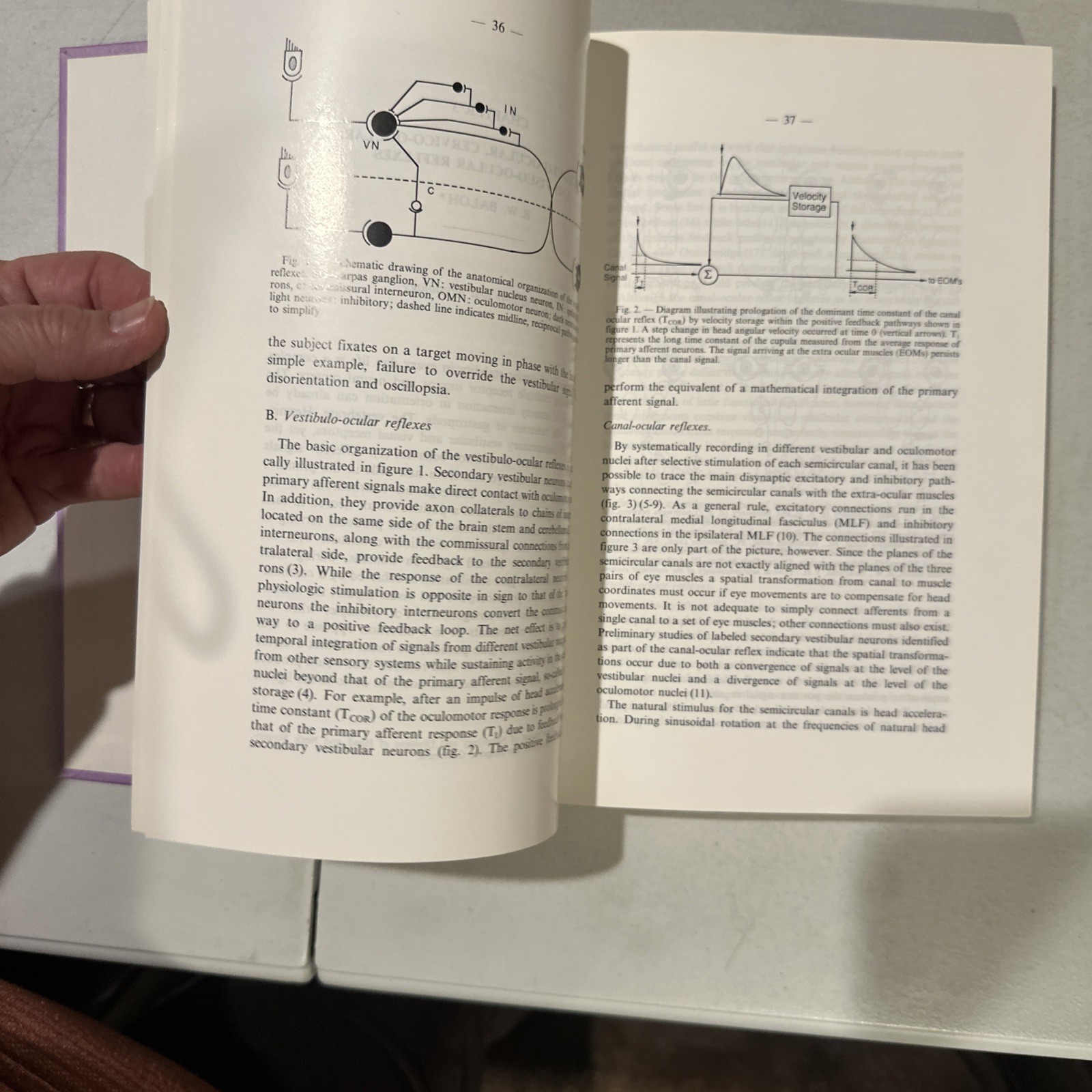 Neurological Organization of Ocular Movement. Ed. Daroff Neetens.Ophthalmology