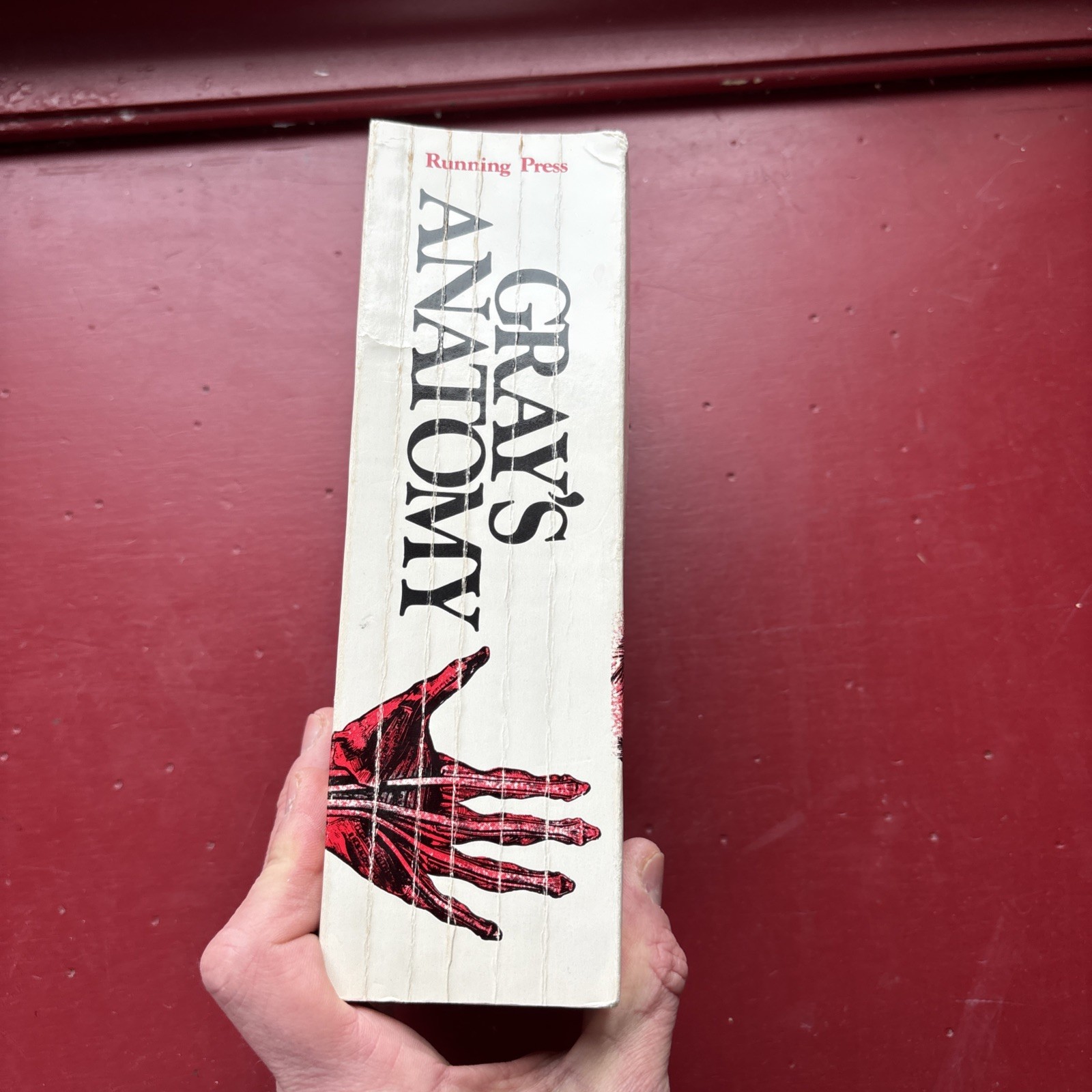 Gray’s Anatomy : The Unabridged Running Press Edition of the American Classic by