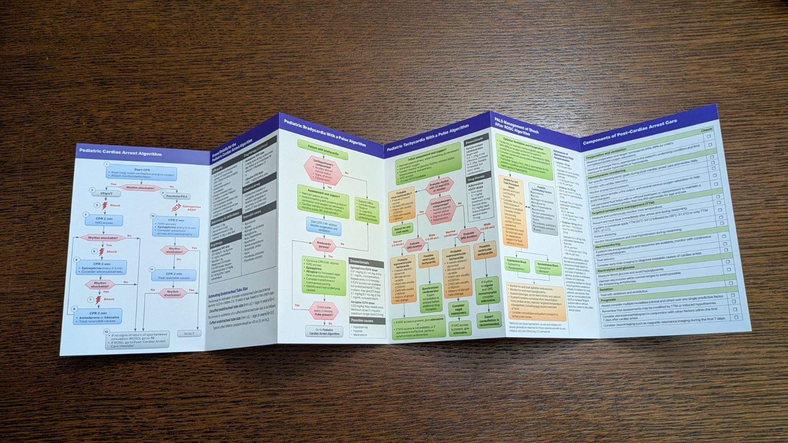 Pediatric Advanced Life Support Provider Manual + PALS – AHA – TPB GC