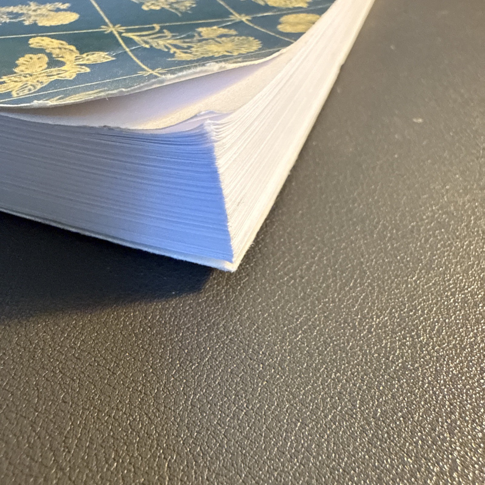 The Lost Book of Herbal Remedies