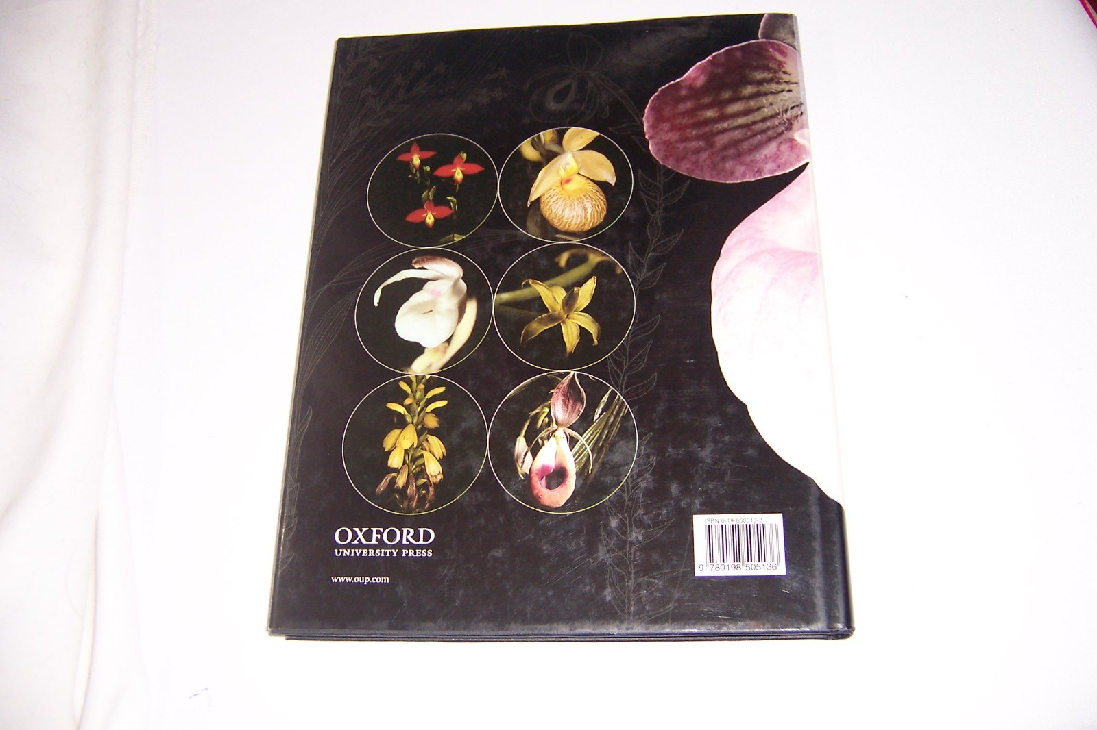 Genera Orchidacearum Ser.: Genera Orchidacearum : General Intro Vol. 1 (1999 HC)