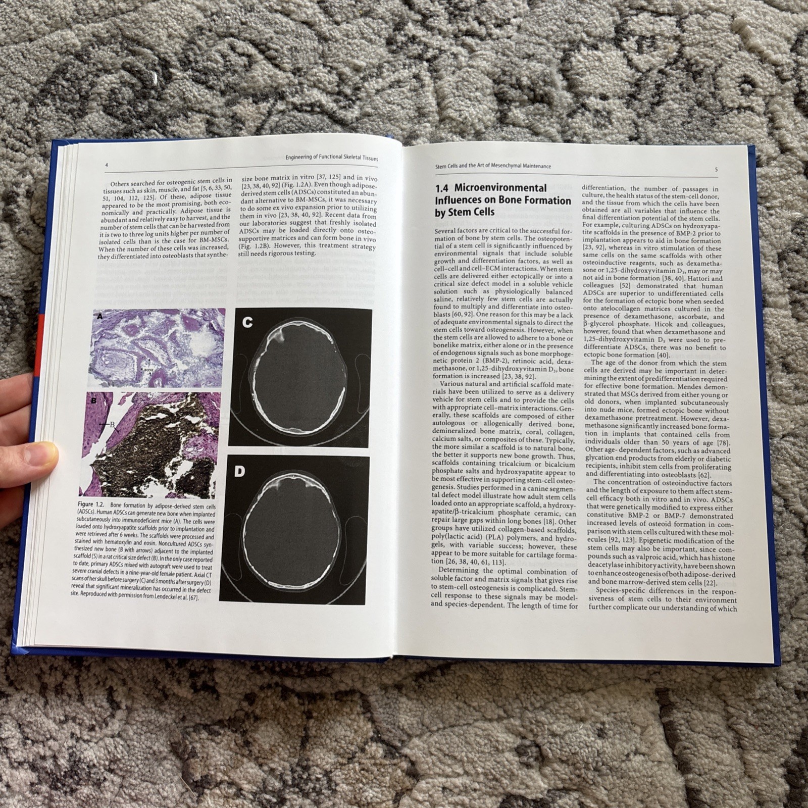 Topics in Bone Biology Ser.: Engineering of Functional Skeletal Tissues