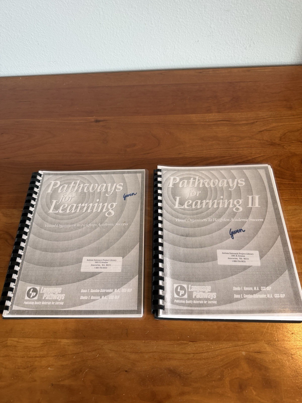 Set: Linguisystems Pathways for Learning Visual Organizers for Academic Success