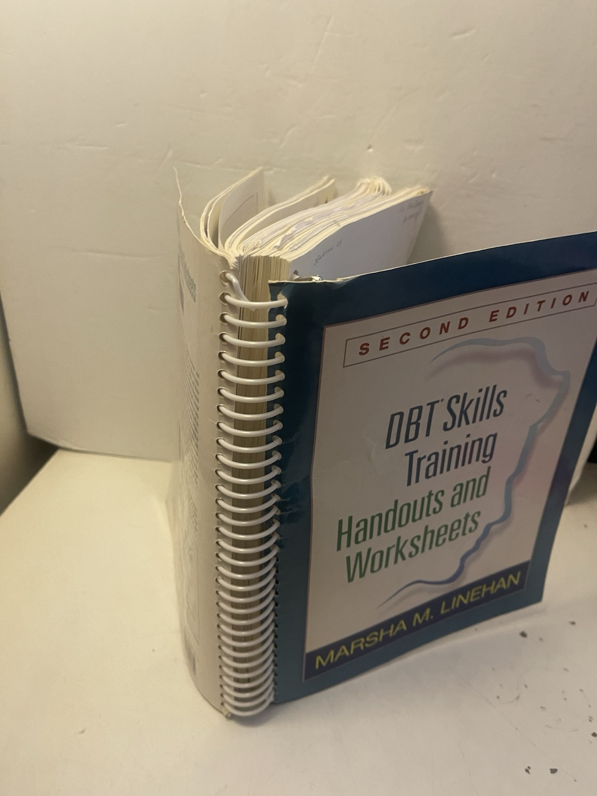 DBT Skills Training Handouts and Worksheets 2014 Spiral Bound Paperback