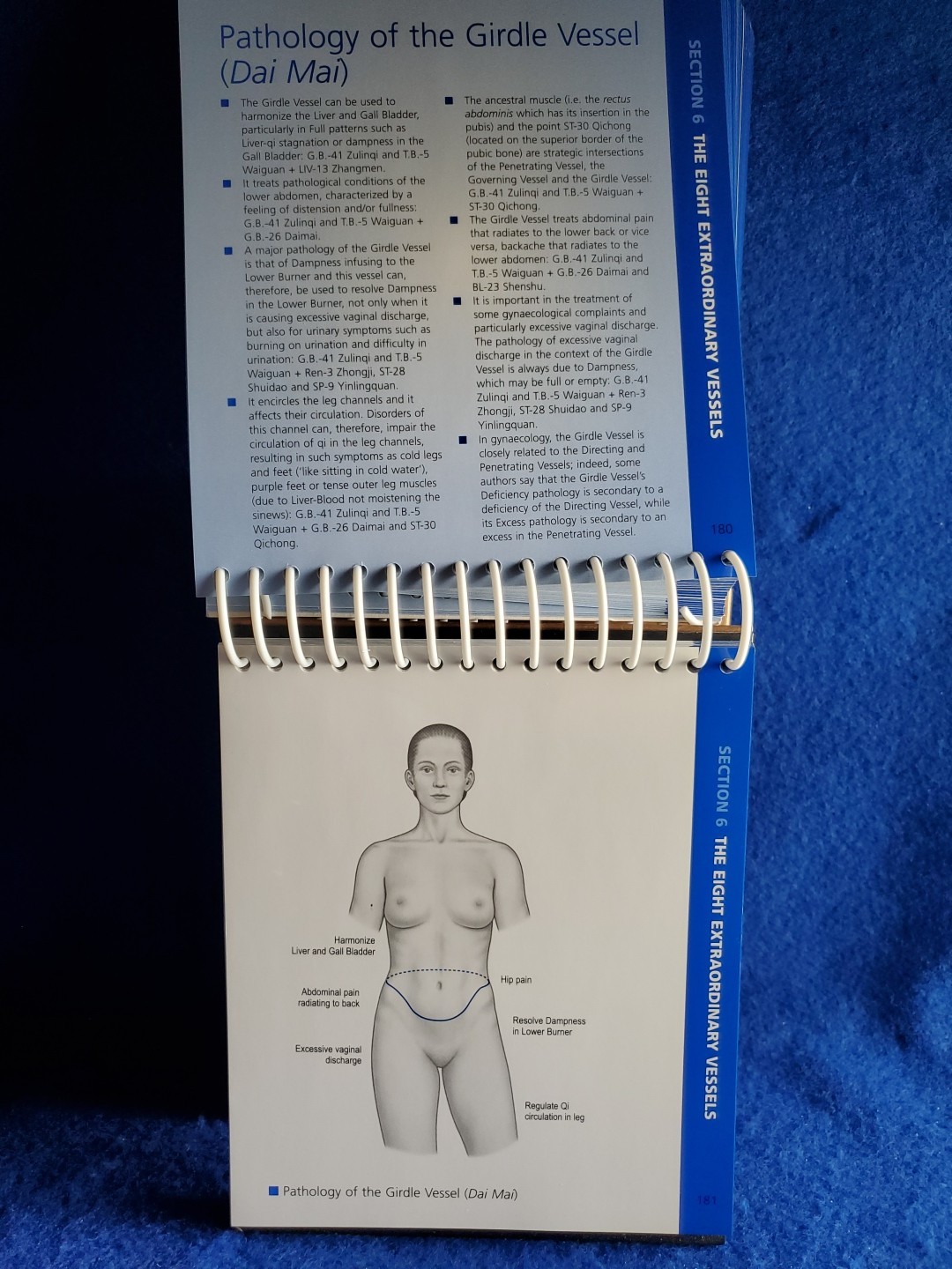 The Channels of Acupuncture Cards Giovanni Maciocia 2006 Elsevier Set