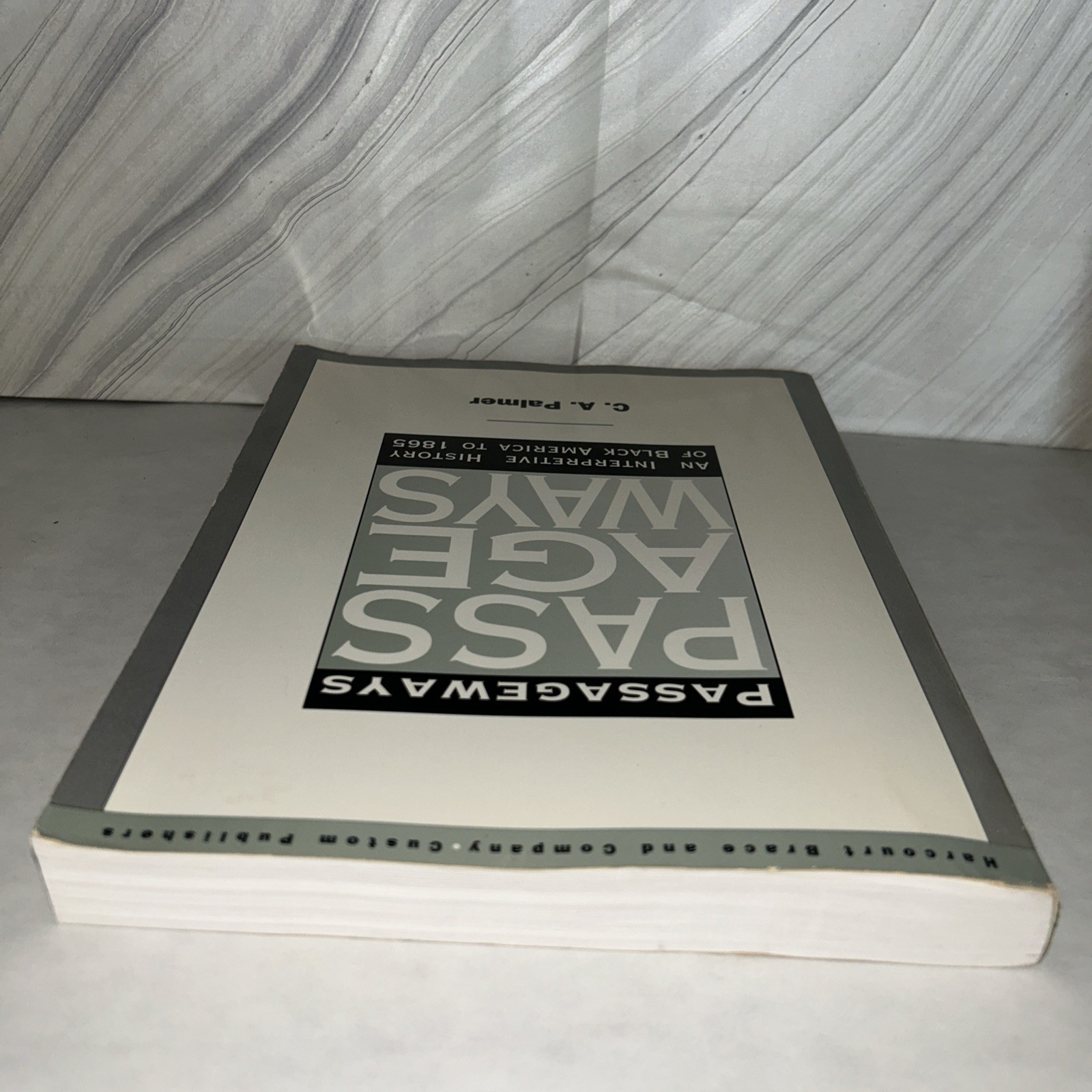 Passageways An Interpretive History Of Black America To 1865 by C.A. Palmer K2