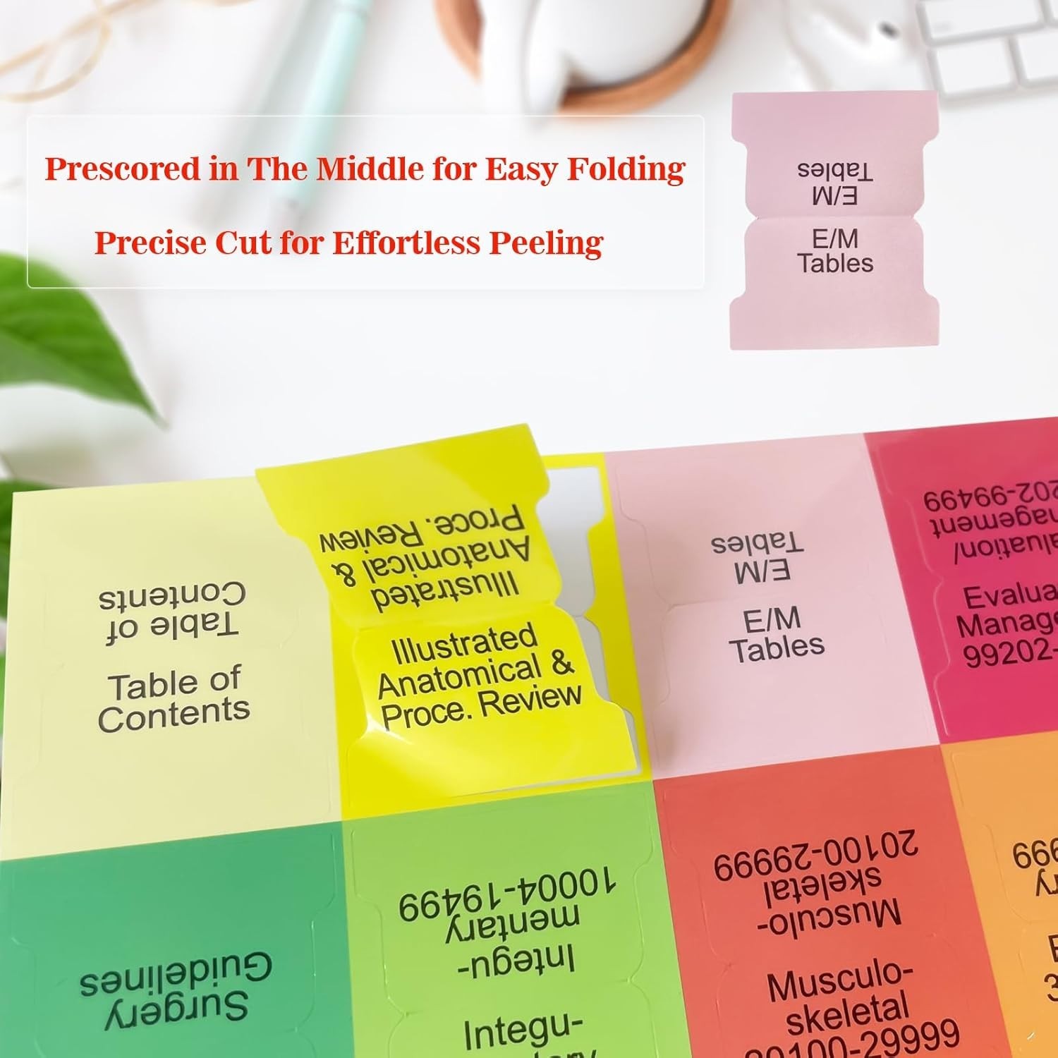 Durable & Waterproof 2026 Index Tabs for CPT & HCPCS – Enhance Study Efficiency