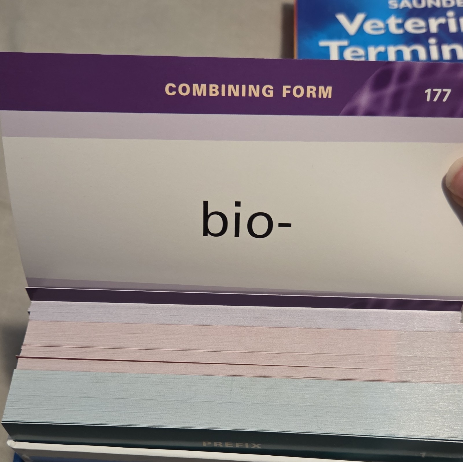 Saunders Veterinary Terminology Flash Cards 530 Full Color Cards Complete