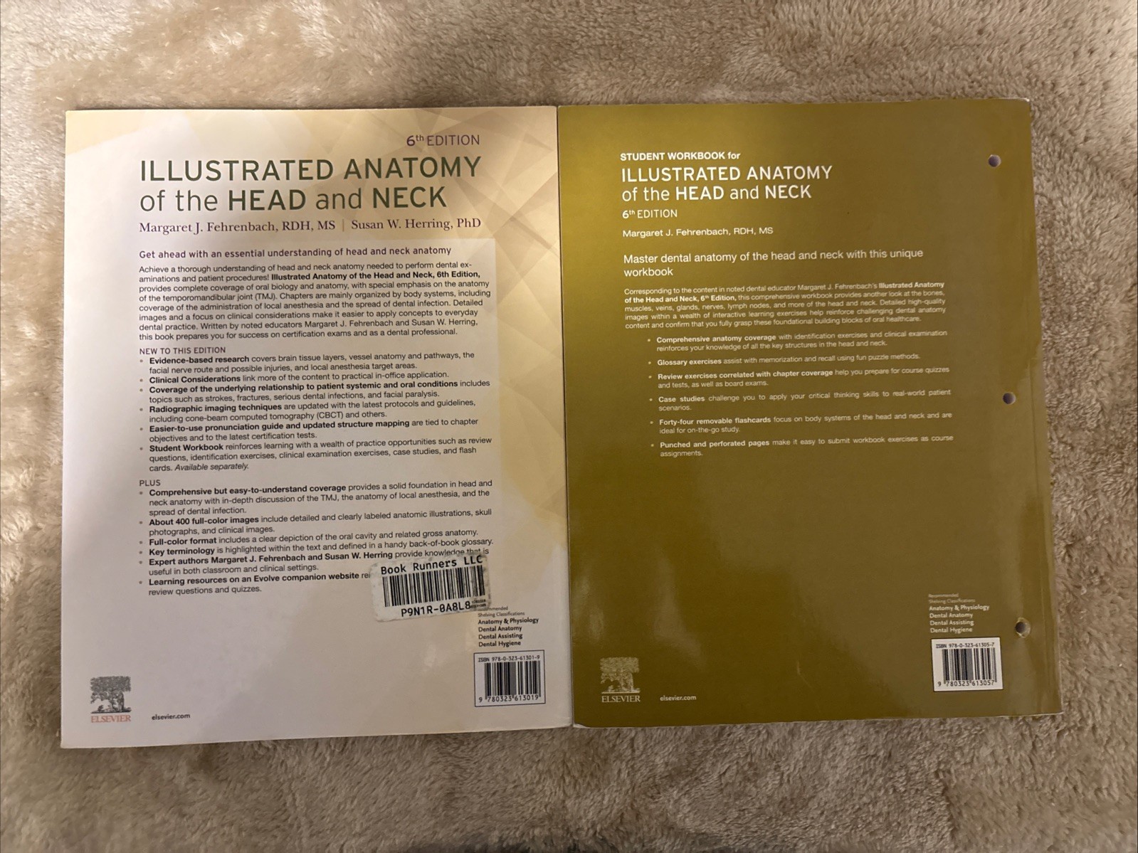 Illustrated Anatomy of the Head and Neck by Margaret J. Fehrenbach w/ workbook!