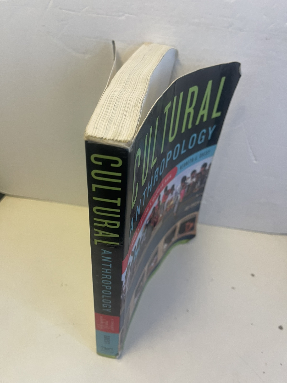 Cultural Anthropology : A Toolkit for a Global Age by Kenneth J. Guest (2013,…
