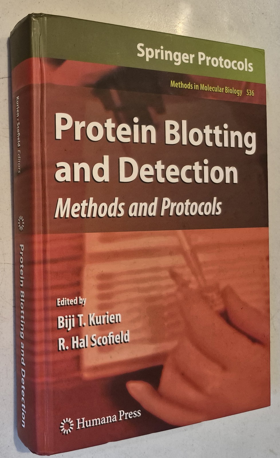 Protein Blotting and Detection: Methods and Protocols (Methods in Molecular Bi..