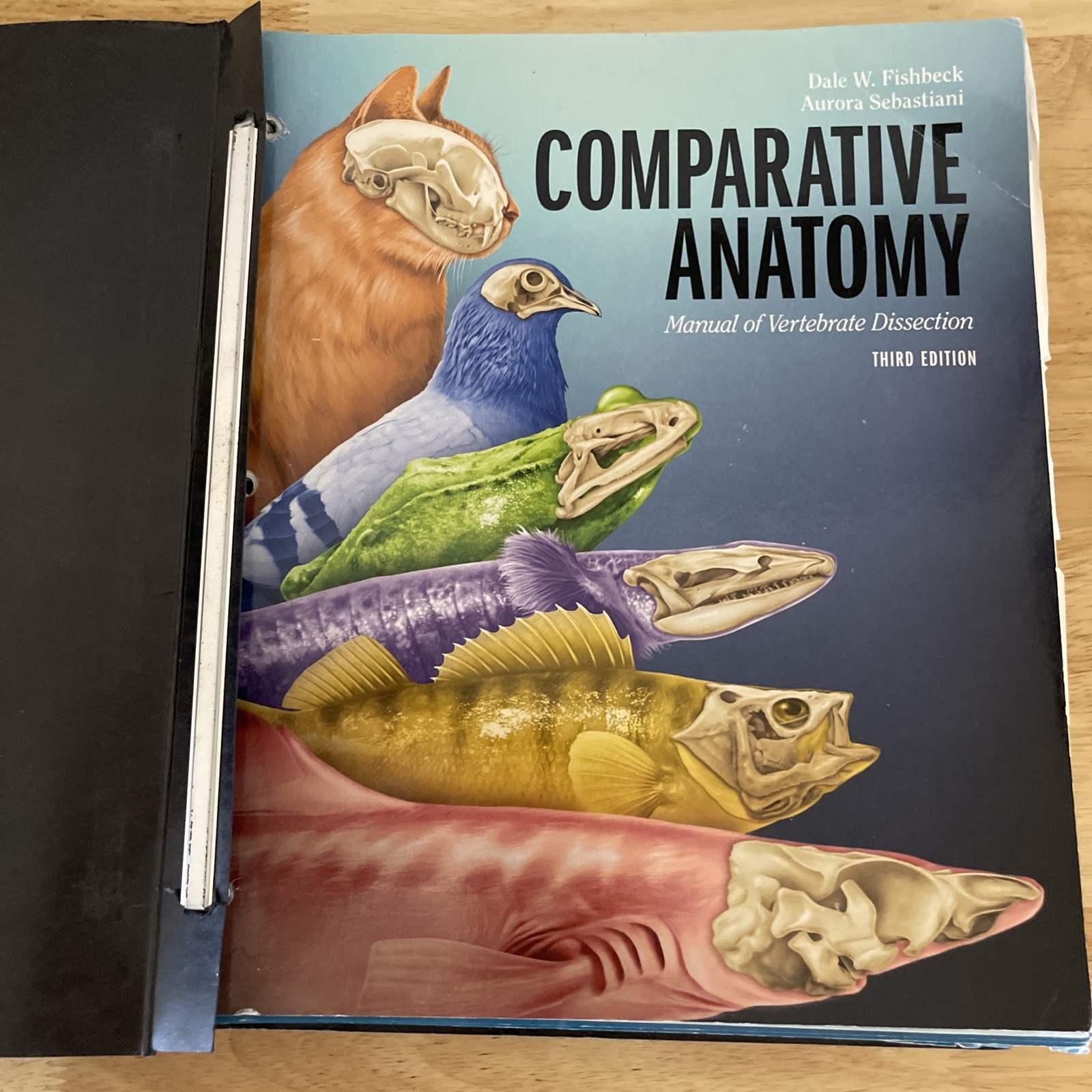 Comparative Anatomy Vertebrate Dissection 3rd Ed. Ringbound, Fishbeck Sebastiani
