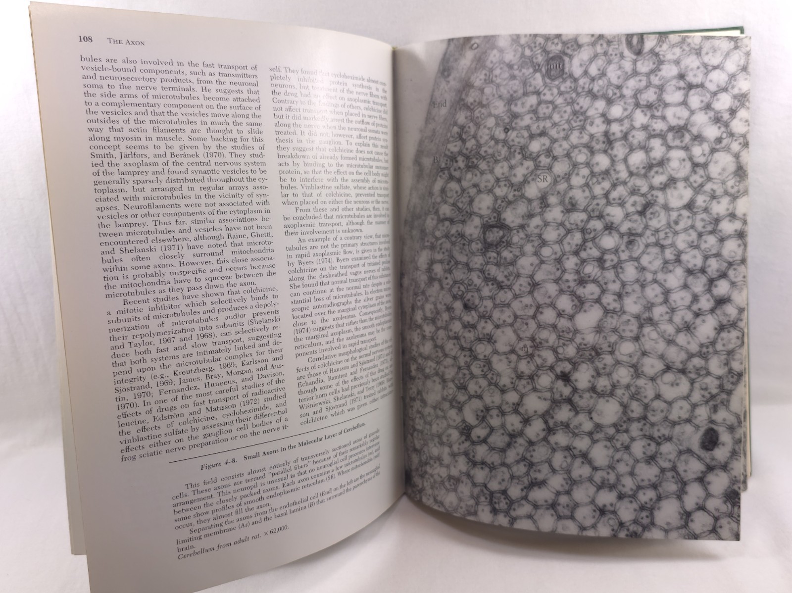 Fine Structure of the Nervous System Peters Palay Webster 1976