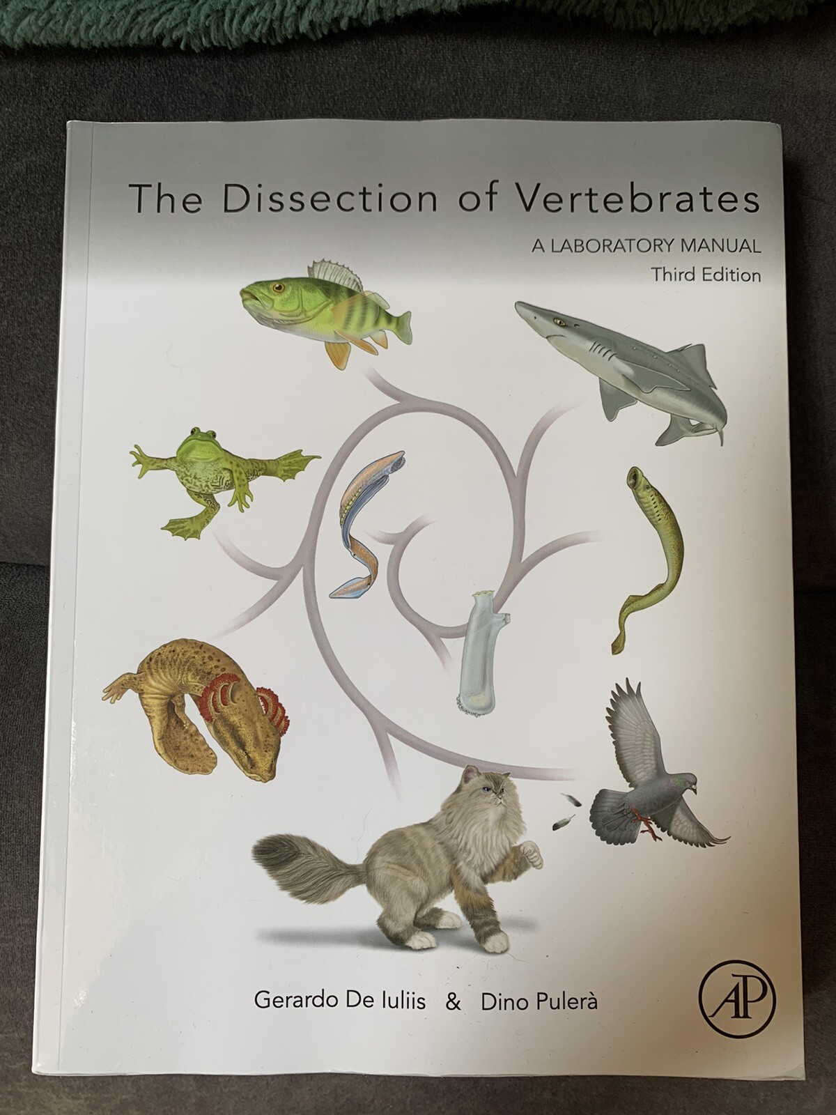 The Dissection of Vertebrates by Dino Pulerà and Gerardo De Iuliis (2019, Trade