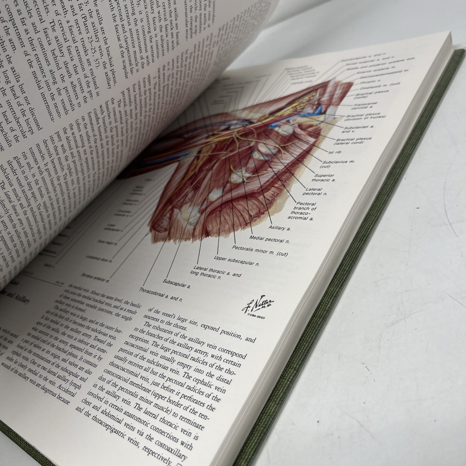 The CIBA Collection of Medical Illustrations Volume 8 Frank H. Netter