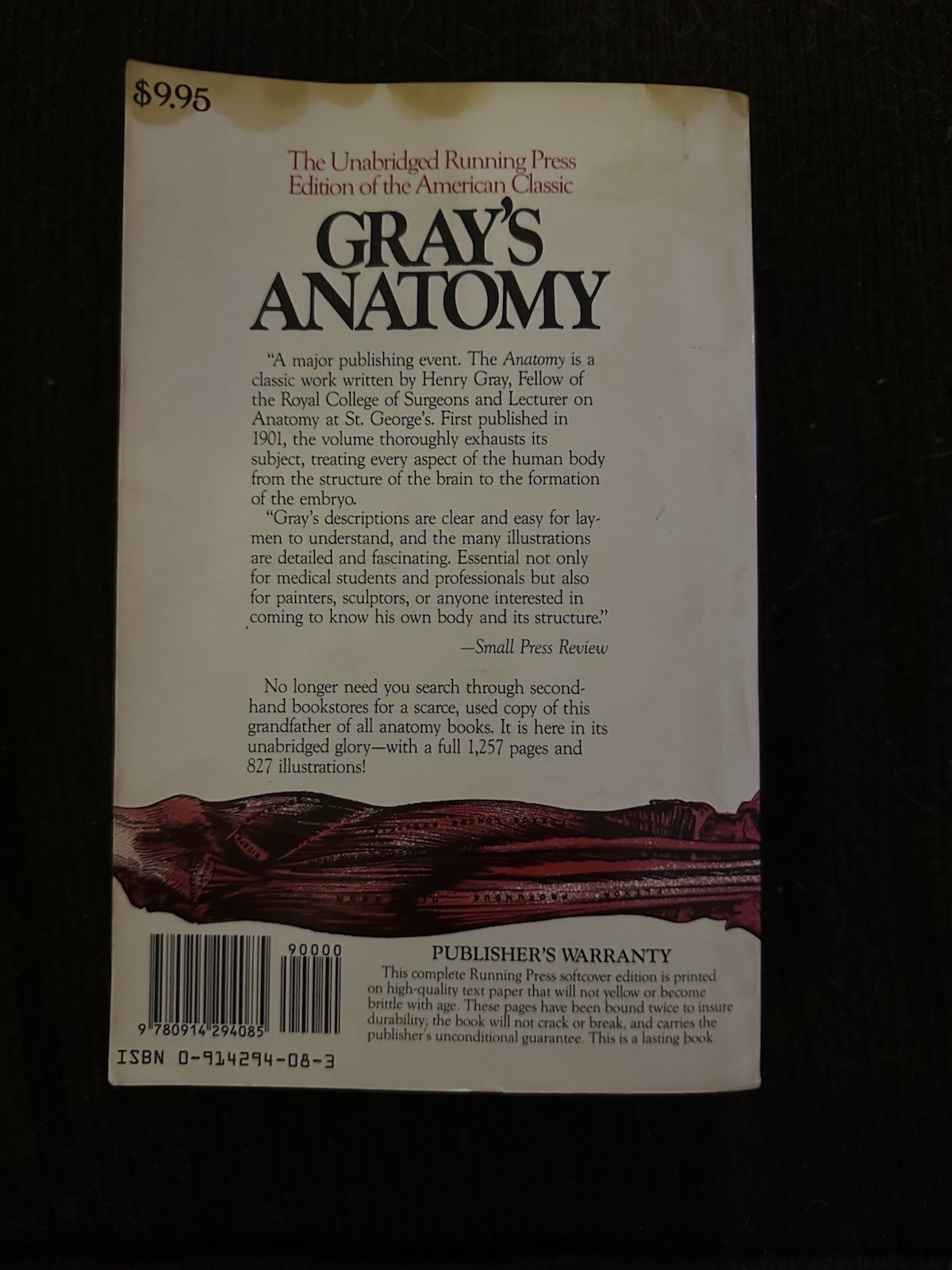 Gray’s Anatomy Unabridged Running Press Edition Softcover 827 Illustrations