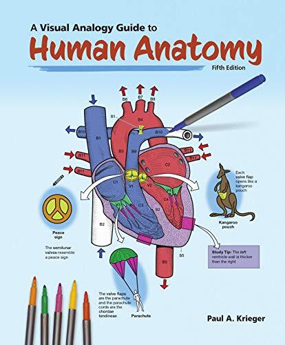 A Visual Analogy Guide to Human Anatomy by Paul A. Krieger