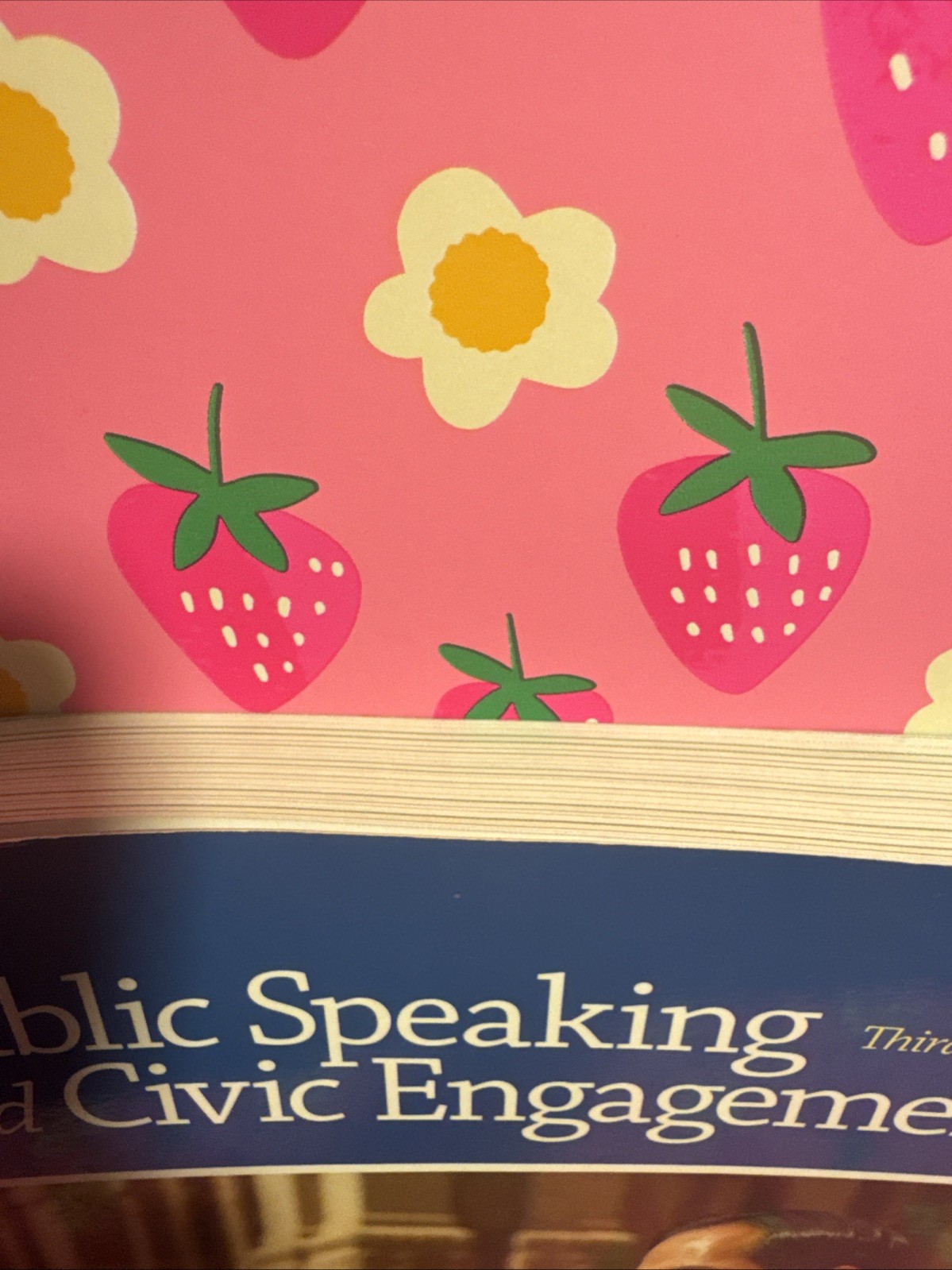Public Speaking and Civic Engagement (3rd Edition) – Paperback – VGOOD!