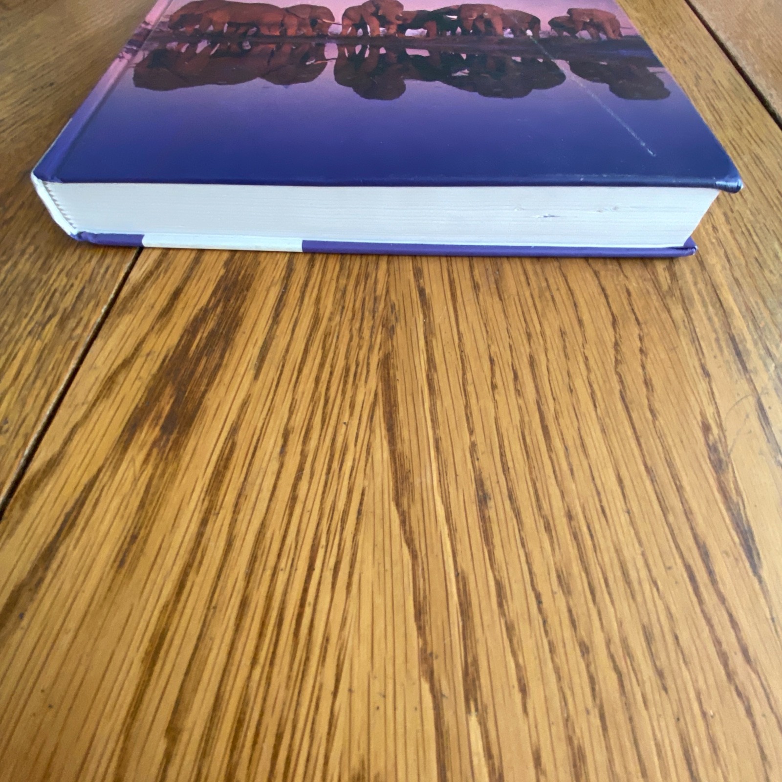 Theory and Practice of Group Counseling 9th Edition Hardcover