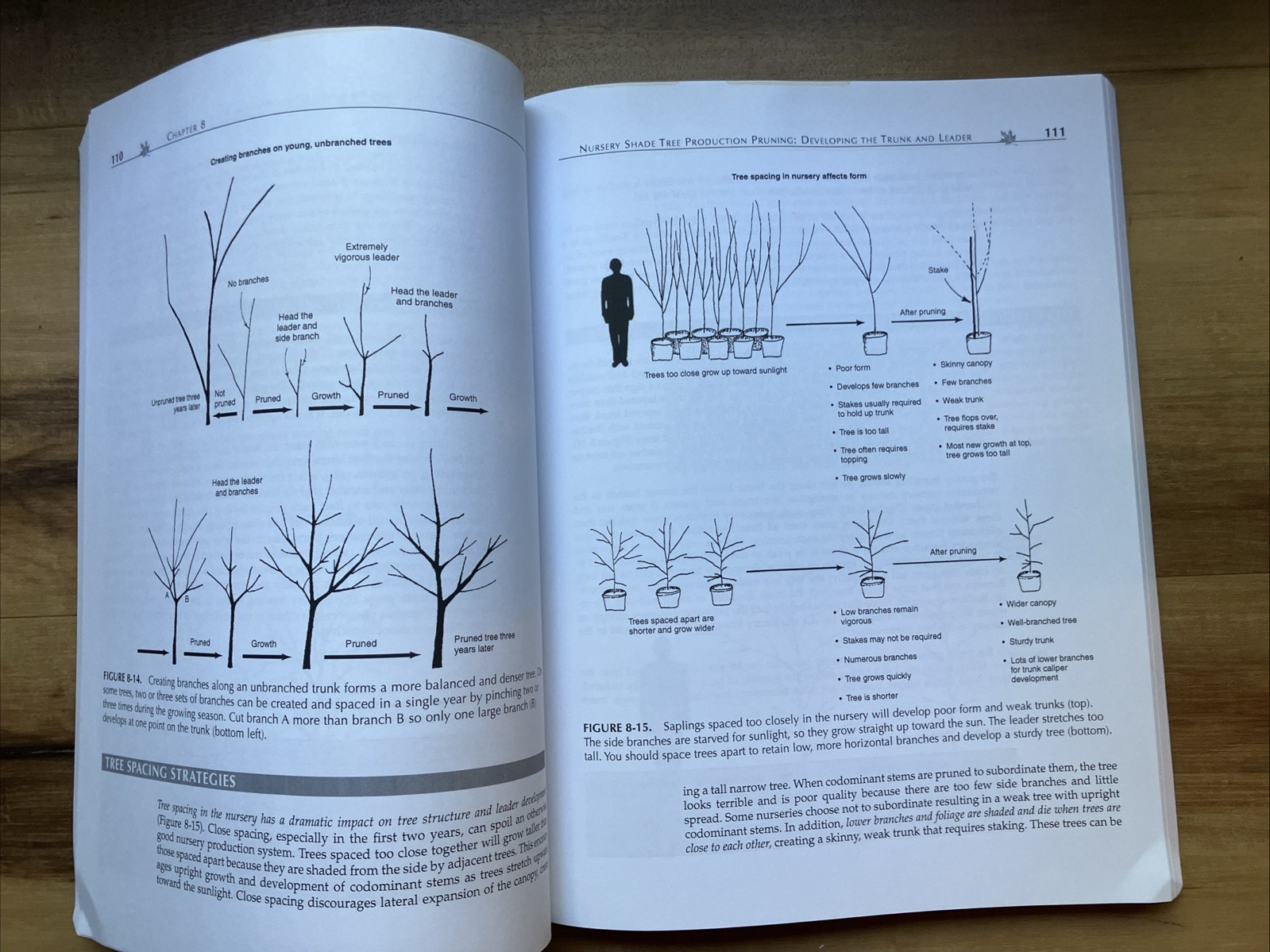 An Illustrated Guide to Pruning by Edward F. Gillman. Second edition
