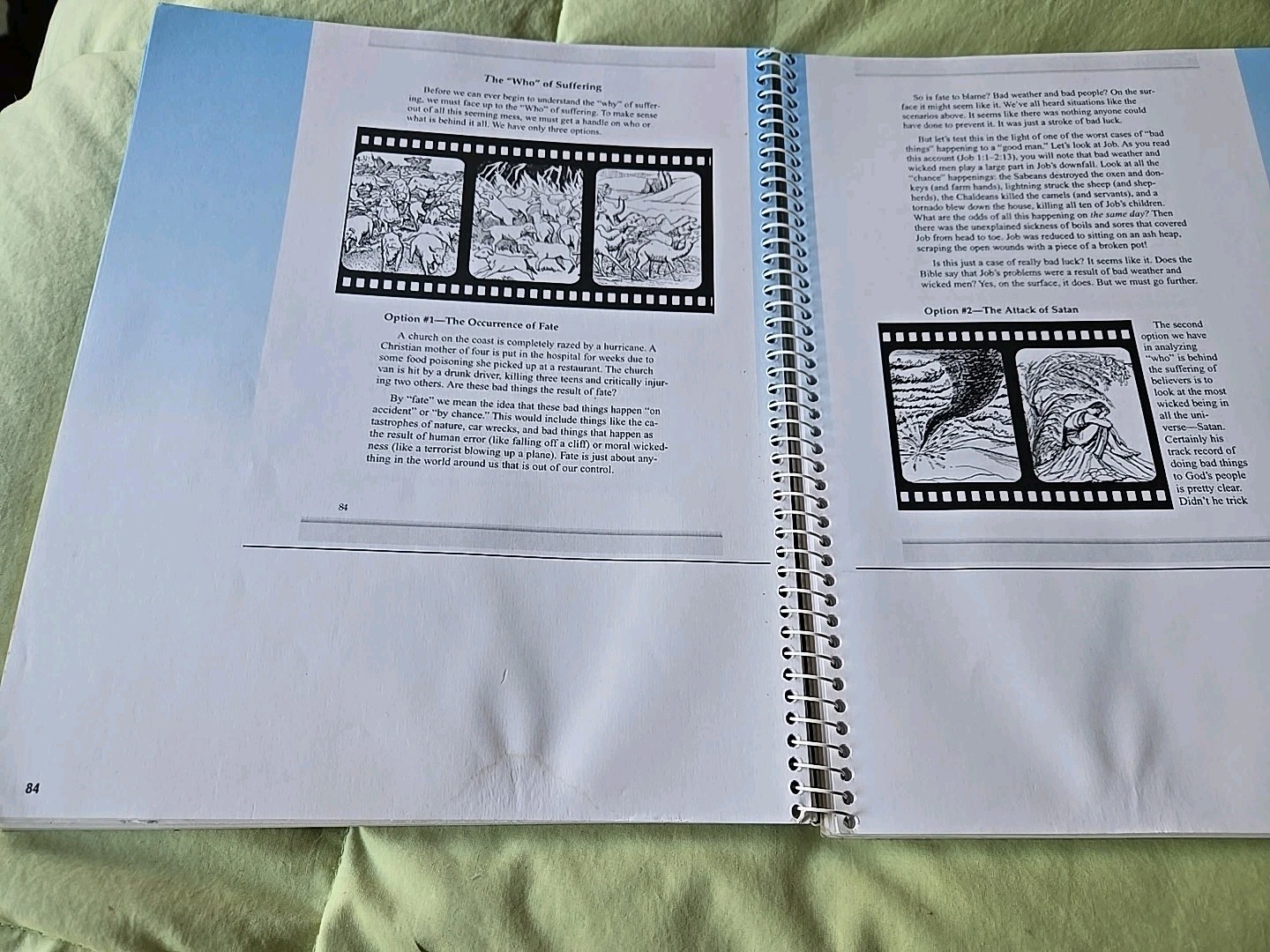 Bob Jones University Press Martyrdom: Final Triumph Of Faith Bible Homeschool