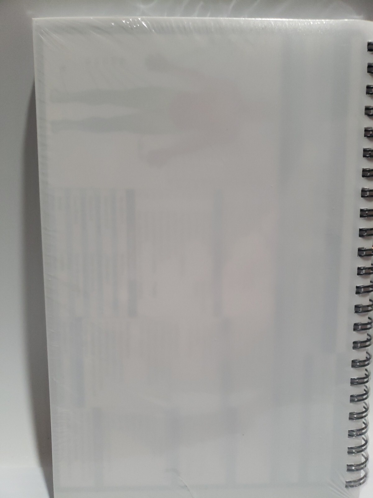 Medical Basics Progress SOAP and H&P Notebook