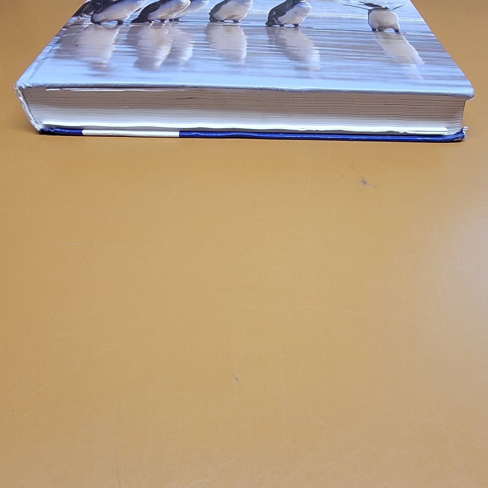 SOCIAL PSYCHOLOGY – 9th EDITION – KASSIN, FEIN, MARKUS